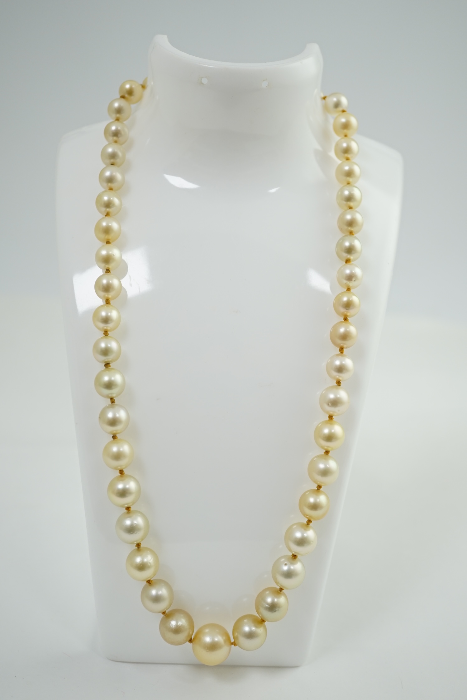 A single strand graduated South Sea pearl necklace, with platinum clasp